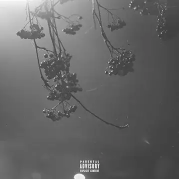 Thrown (SWE-2) : Nights